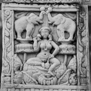 Lakshmi lustrated by Elephants (32936535203)1.jpg