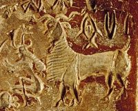 Byk ofiarny (fragment pieczęci), Mohenjo-daro, rozmiar 4,6x3,95x0,8 cm, muzeum w Islamabadzie.jpg