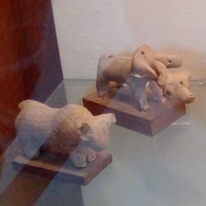 Karachi, świnia i byk, zdjęcie A.Babkiewicz 2018.jpg