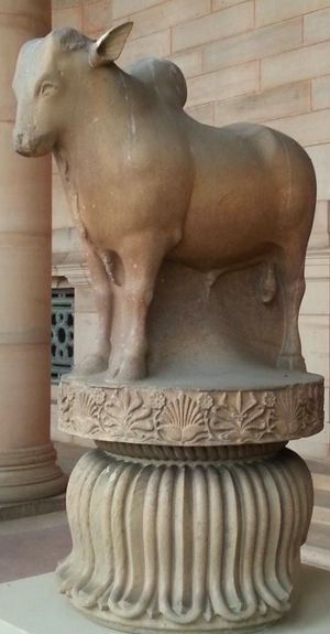 Rampurva bull in Presidential Palace high closeup.jpg
